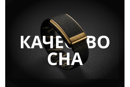 Как WHOOP анализирует качество сна и почему это важно